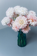 Beautiful fresh soft pink flowers close up