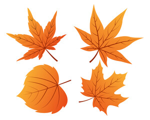 Naklejka premium Set of autumn leaves