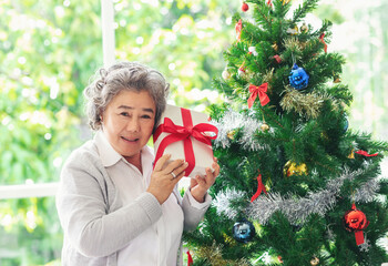 Happy holiday Christmas age and smiling senior woman holding a gift box with a decorated Christmas...