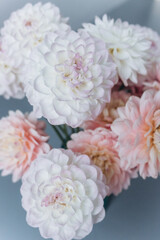 Beautiful fresh soft pink flowers close up