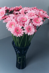 Beautiful fresh soft pink flowers close up