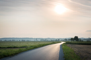 Fototapeta premium Country road in Burgenland in bright sunlight