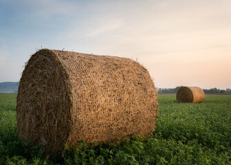 Hay bales in burgenland