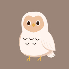 Owls cartoon vector. Owls character design.