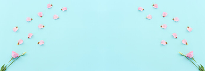 Top view image of pink flowers composition over pastel blue background .Flat lay