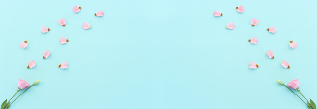 Top view image of pink flowers composition over pastel blue background .Flat lay