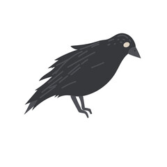 Doodle crow illustration. Vector isolated on white background.