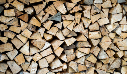 Pile of wood forming a wall. Ecology and deforestation problems in nature.