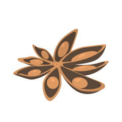 Vector image of a realistic anise on a white background is isolated.