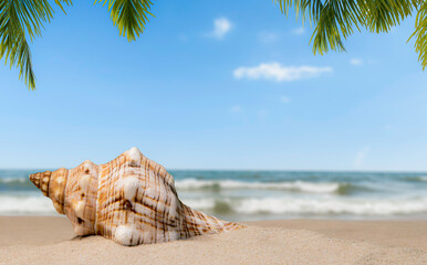 Fototapeta na wymiar Seashell like a trumpet on the seashore with sea waves, blue sky, and palm tree leaves.