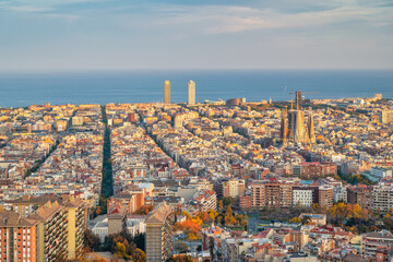 Barcelona Spain, high angle view city skyline viem from Bunkers del Carmel with autumn foliage...