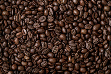 Roasted coffee bean seed, caffeine