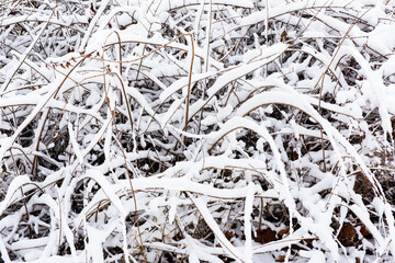 Snow scenery along the river in city Park in winter