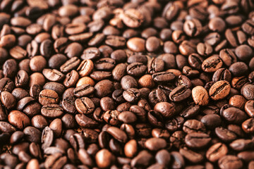 Naklejka premium Roasted coffee bean seed, caffeine