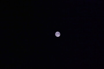 simply the moon