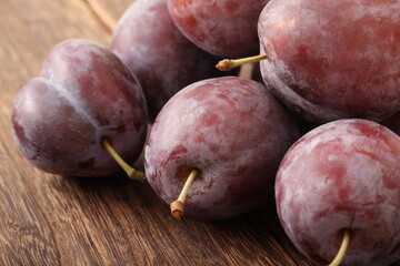 プルーン（トレジティー）山形県朝日町産