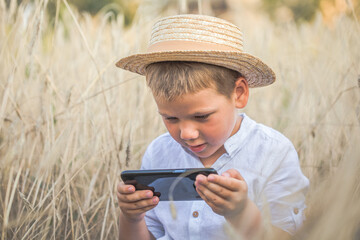 Portrait of child boy playing online games with smartphone, sitting outdoor play with phone in hand in wheat field