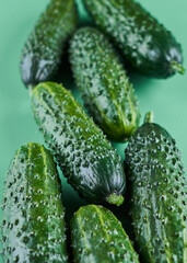 Set of fresh whole cucumbers on a green background, food pattern. Garden cucumber wallpaper backdrop design
