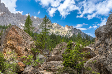 Fototapeta premium Felslabyrinth unter dem Latemar, Dolomiten, Südtirol