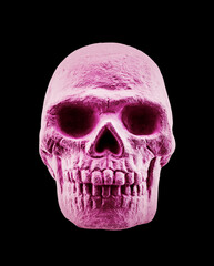 Pink human skull isolated on black background with clipping path