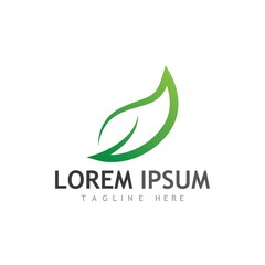 Obraz premium leaf logo and vector images