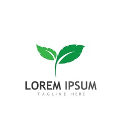 leaf logo and vector images