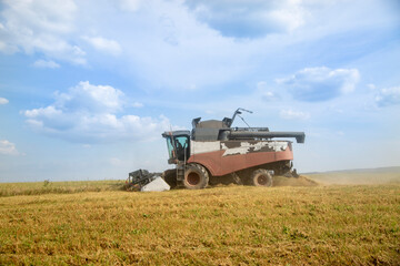 old tracktor plows the field. harvester harvests wheat from a sown agricultural field