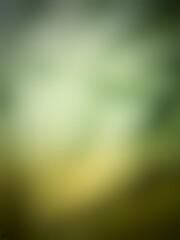green abstract background