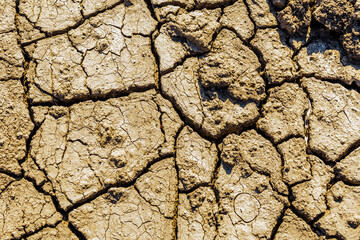 Background of the cracked dry barren soil. Global warming concept