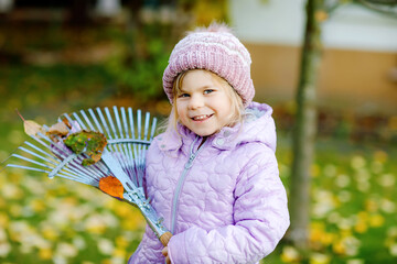 Little toddler girl working with rake in autumn garden or park. Adorable happy healthy child having...