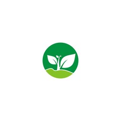 Green Leaf Icon Vector Illustrations nature