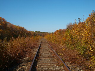 Fototapeta premium railway in autumn