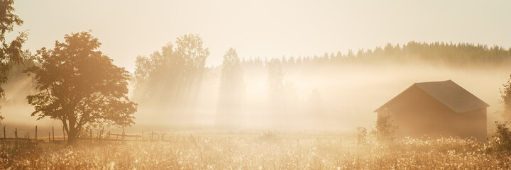 Autumn rural landscape, fog lingering over meadow in the morning at sunrise © ekim