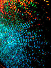 Colorful abstract patterns for the background	
