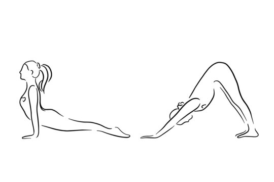 Stylized human in yoga dog pose, urdhva mukha svanasana and adho mukha svanasana . Handdrawn Vector illustration of lineart style. Yoga pose flat line icon, simple sign of woman in easy pose