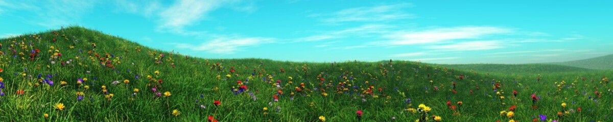 Green meadows under a blue sky, hills of grass and flowers, a panorama of a meadow, 3D rendering