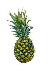 Whole ripe pineapple isolated on a white background