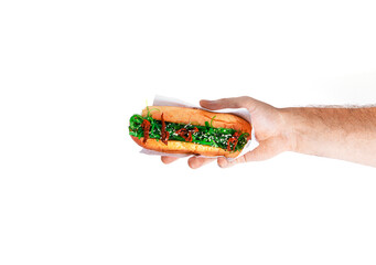 Hot dog in hand isolated on a white background. Fast food isolated.