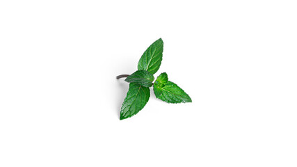 Naklejka na ściany i meble Fresh mint leaves on a white background.