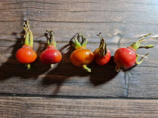 Rosehip fruits close-up. Rosehip fruit background. Rosehip berries.