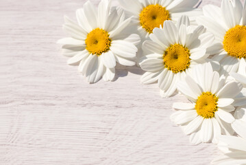 Delicate flower arrangement of inflorescences of garden daisies on a light wooden background. 