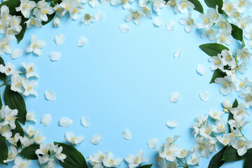 Obraz na płótnie Canvas Frame of beautiful jasmine flowers on light blue background, flat lay. Space for text