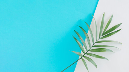 Natural summer vacation arrangement made of green tropical palm leaf isolated on the pastel blue and beige background. Ocean holiday note card concept. Minimal flat lay with copy space.