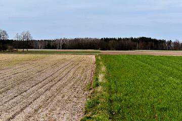 Pola i łąki wczesną wiosną na wsi.