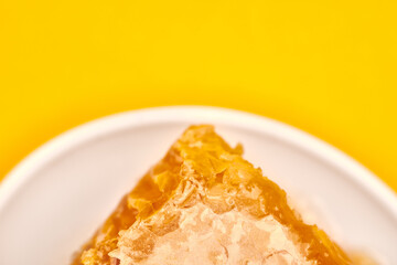 Honeycomb on plate, copy space, macro close up