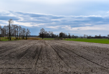 Pola i łąki wczesną wiosną na wsi. © Krzysztof Głowacki