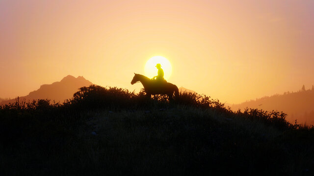 Silhouette of a horse at sunset