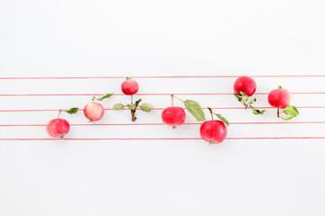 Creative musical notes concept. Red apples with leaves and red threads on white background with...