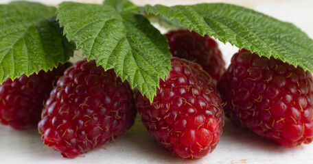 image of raspberries with leaves on a white background