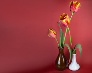 image of tulips flowers in a vase close-up